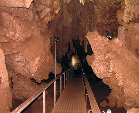 Cutta Cutta Caves Nature Park - Accommodation Mooloolaba 0