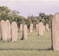 Magnetic Termite Mounds - Accommodation Mooloolaba
