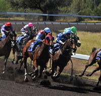 Alice Springs Turf Club - Accommodation Mooloolaba