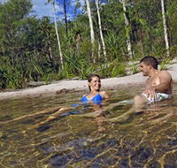 Tjaynera/Sandy Creek Falls - Accommodation Mooloolaba
