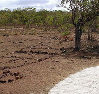 Wurrwurrwuy Garanhan Macassan Beach Interpretive Walk - Accommodation Mooloolaba