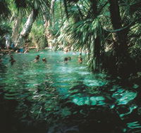 Mataranka Thermal Pool - Accommodation Mooloolaba