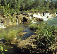 Flora River Nature Park - Accommodation Mooloolaba