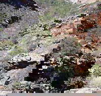 Serpentine Chalet Bush Camping Area - Accommodation Mooloolaba