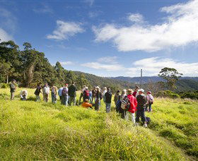 Springbrook QLD Accommodation Mooloolaba