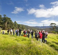 Apple Tree Park - Accommodation Mooloolaba