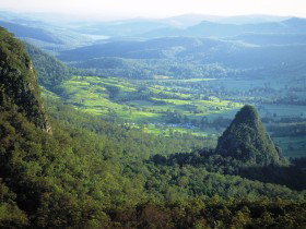 Springbrook Plateau, Springbrook National Park - Accommodation Mooloolaba 0