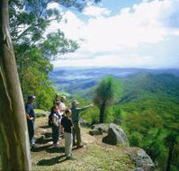 Gold Coast Hinterland Great Walk - Accommodation Mooloolaba