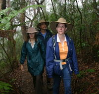 Mount Cougal Springbrook National Park - Accommodation Mooloolaba