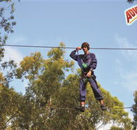 Adventure Parc at Currumbin Wildlife Sanctuary - Accommodation Mooloolaba