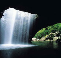 Natural Bridge Springbrook National Park - Accommodation Mooloolaba