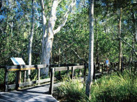 Kinaba Track - Accommodation Mooloolaba 0