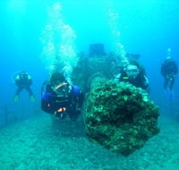 Ex-HMAS Brisbane Conservation Park - Accommodation Mooloolaba