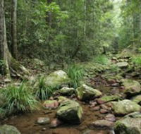 Amamoor State Forest - Accommodation Mooloolaba