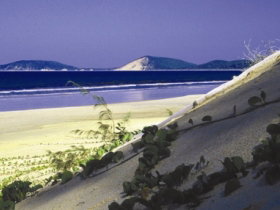 Cooloola, Great Sandy National Park - Accommodation Mooloolaba 0