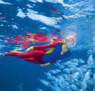 Great Detached Reef Dive Site - Accommodation Mooloolaba