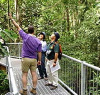 Daintree Discovery Centre - Accommodation Mooloolaba