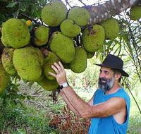 Cape Trib Exotic Fruit Farm - Accommodation Mooloolaba