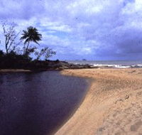 Russell River National Park - Accommodation Mooloolaba