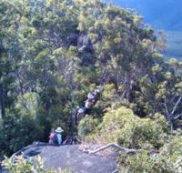 Mia Mia State Forest - Accommodation Mooloolaba