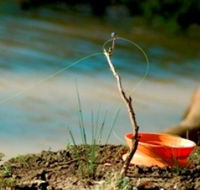 Charleville - Mangalore Warrego River Fishing Spot - Accommodation Mooloolaba