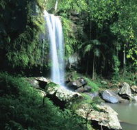 Curtis Falls Joalah Section - Accommodation Mooloolaba