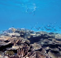 Australian Institute of Marine Science - Accommodation Mooloolaba