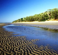 Burrum Coast National Park - Accommodation Mooloolaba