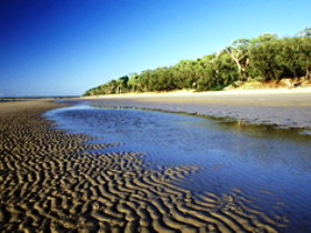 Burrum Coast National Park - Accommodation Mooloolaba 0