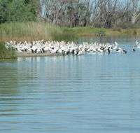 Lake Ross - Accommodation Mooloolaba