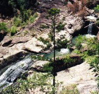 Banksia Track and the Boardwalk - Accommodation Mooloolaba