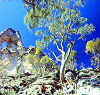Mount Moffatt Section - Carnarvon National Park - Accommodation Mooloolaba
