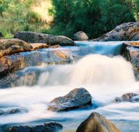 Crows Nest Falls - Accommodation Mooloolaba