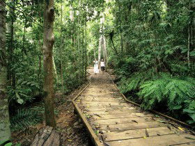 Malanda QLD Accommodation Mooloolaba