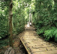 Lake Barrine Circuit Track Crater Lakes National Park - Accommodation Mooloolaba