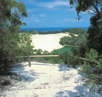 Lake Wabby Track - Accommodation Mooloolaba