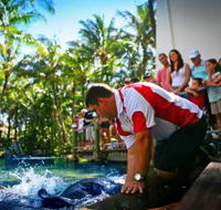The Living Reef on Daydream Island - Accommodation Mooloolaba