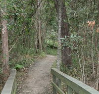 Springwood Conservation Park - Accommodation Mooloolaba