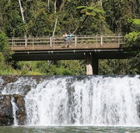 Malanda Falls Conservation Park - Accommodation Mooloolaba