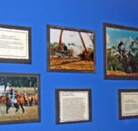 Town Hall Photographic Display - Accommodation Mooloolaba