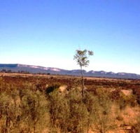 Tambos Wilderness Way - Accommodation Mooloolaba