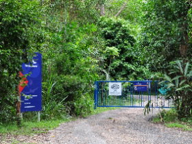 The Bat Hospital Visitor Centre - Accommodation Mooloolaba 0