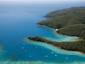 Butterfly Bay - Hook Island - Accommodation Mooloolaba 0