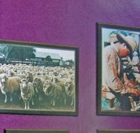 Charleville Photographic Display - Accommodation Mooloolaba