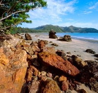 Diversity Boardwalk - Accommodation Mooloolaba
