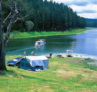 Danbulla National Park and Danbulla State Forest - Accommodation Mooloolaba
