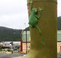 Golden Gumboot - Accommodation Mooloolaba
