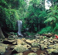 Tamborine National Park - Accommodation Mooloolaba