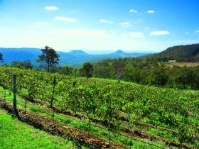 Preston Peak Wines - Accommodation Mooloolaba 0