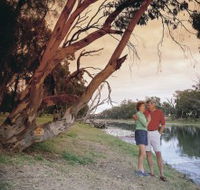 The Looking Glass - Accommodation Mooloolaba